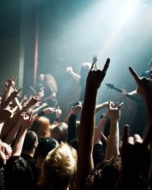 W.A.S.P.