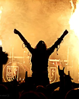 Y&T