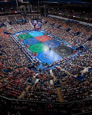 New Japan Pro Wrestling
