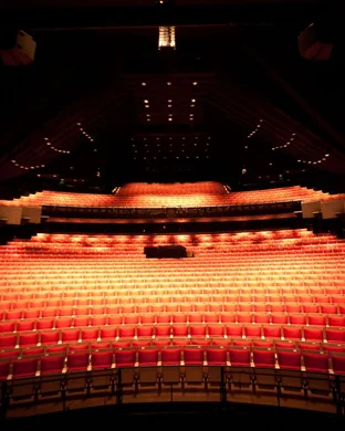 Lyric Opera of Chicago: Don Pasquale